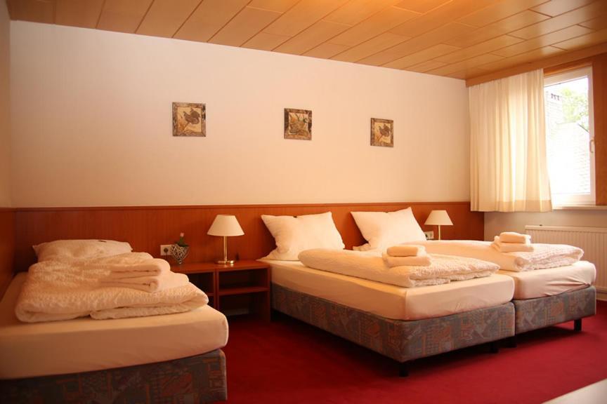 Hotel Garni Kaiserpfalz Goslar Ngoại thất bức ảnh